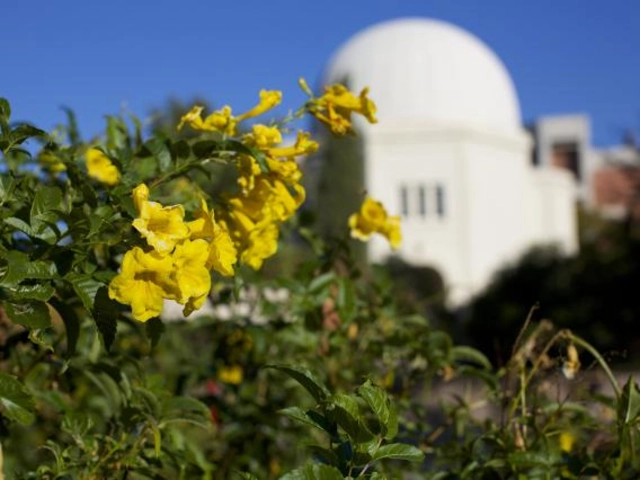 Arboretum on UArizona campus